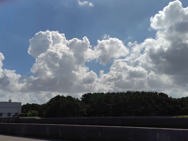 2245202608071018373.jpg