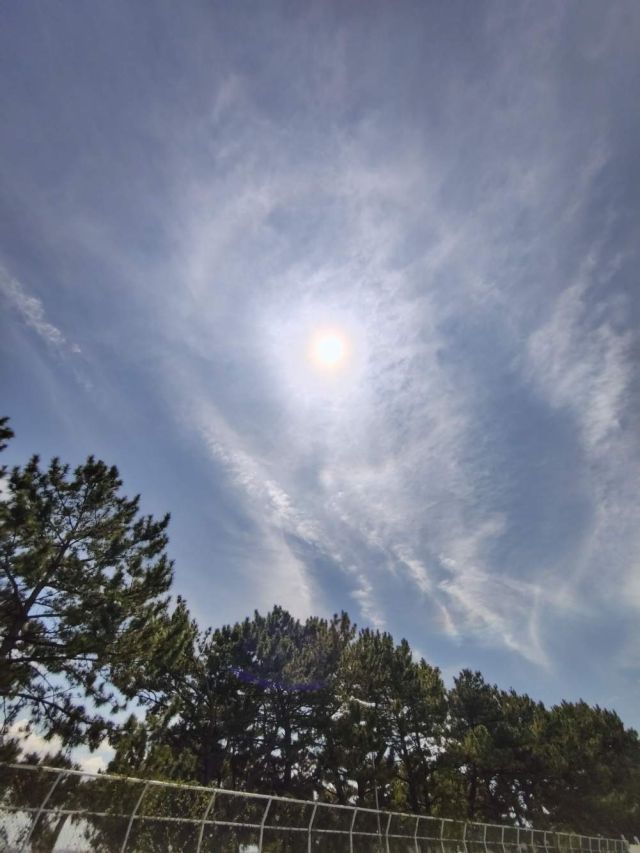 2245202608211204180.jpg