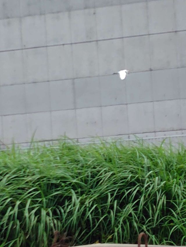 2245202608261221391.jpg