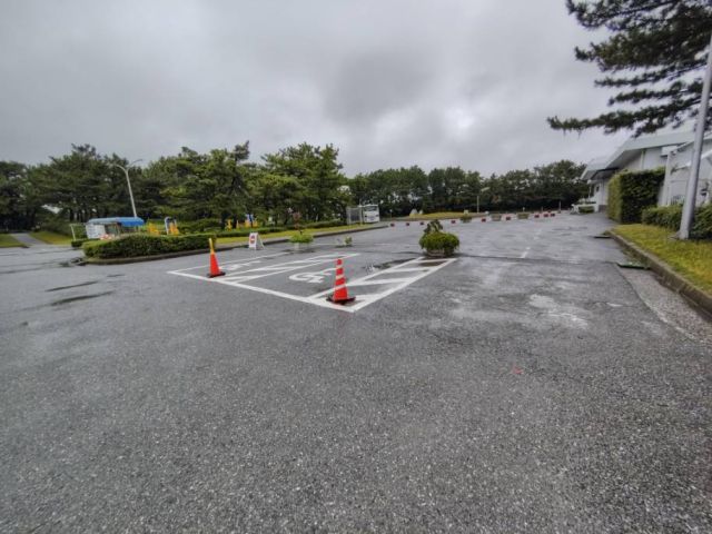 2245202609071047351.jpg