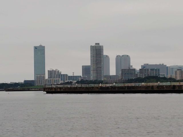 2245202609131259201.jpg