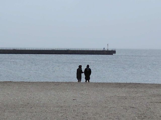 2245202609161116364.jpg