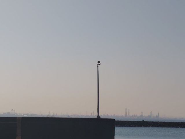 2245202610091630060.jpg