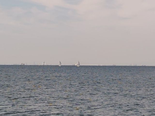 2245202610171007057.jpg
