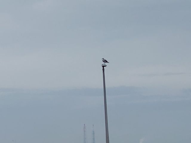 2245202610241203000.jpg