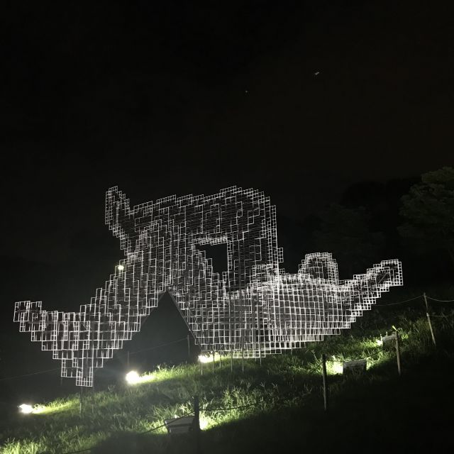 379201909041333320.jpg