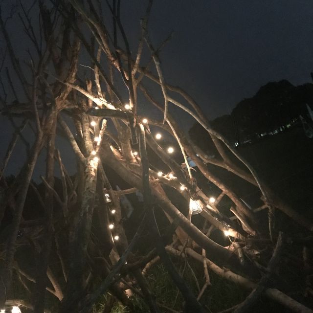 379201909041333323.jpg